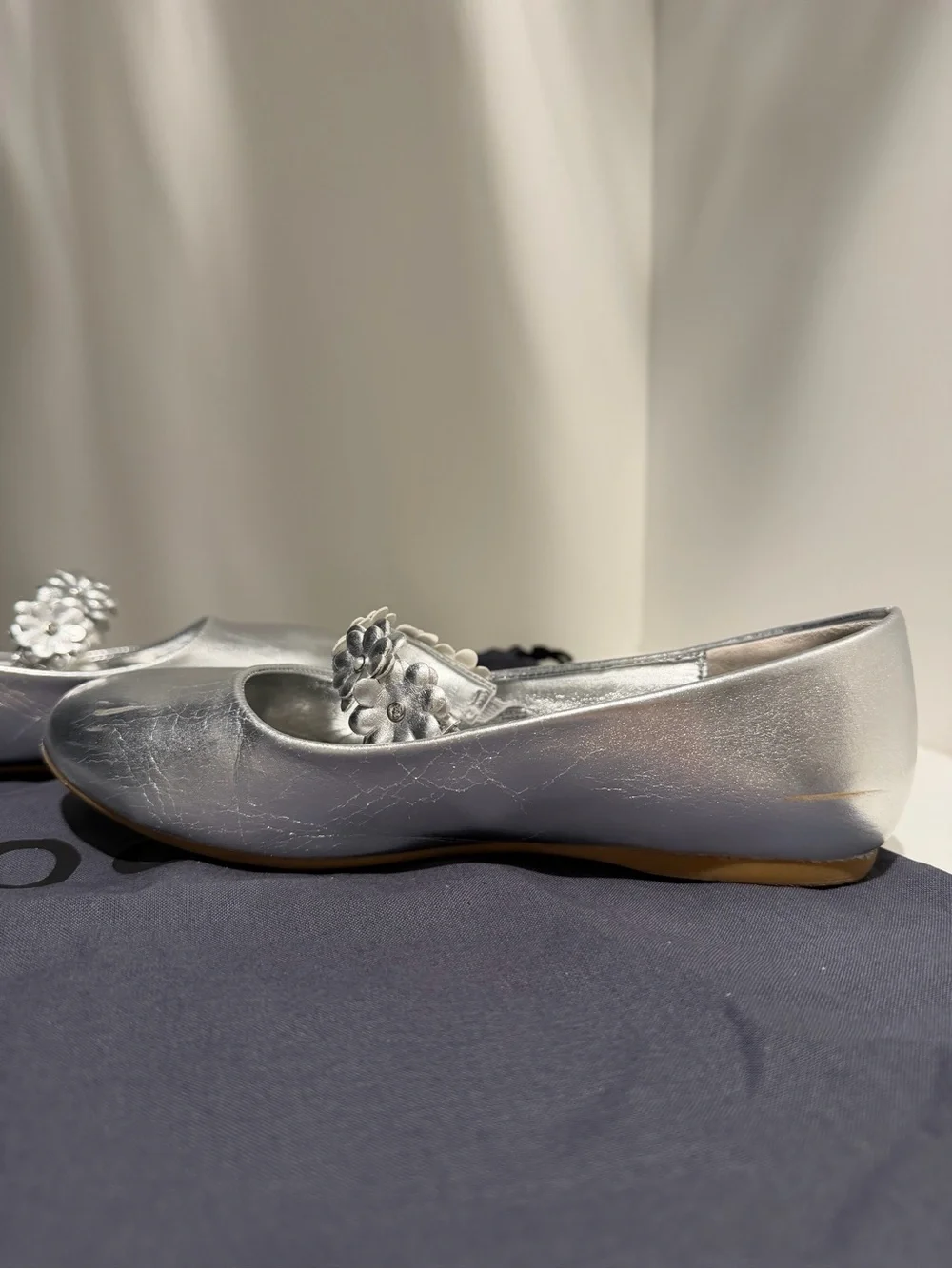 Nina Girls Rozy Silver Metallic Ballet Dress Shoes